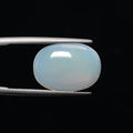 Opal - 741
