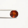 Hessonite - 1316