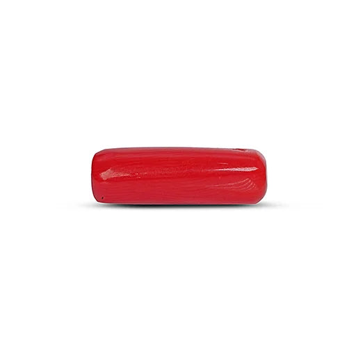 Red Coral - 5107