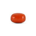 Red Coral - 4786
