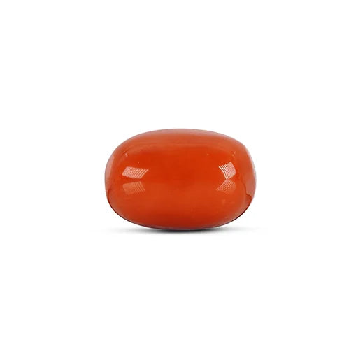 Red Coral - 4786
