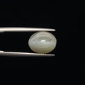Cats Eye - 3366