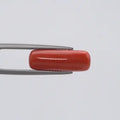 Red Coral - 284