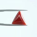 Red Coral - 1407
