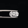 Zircon - 3171