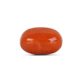 Red Coral - 4780