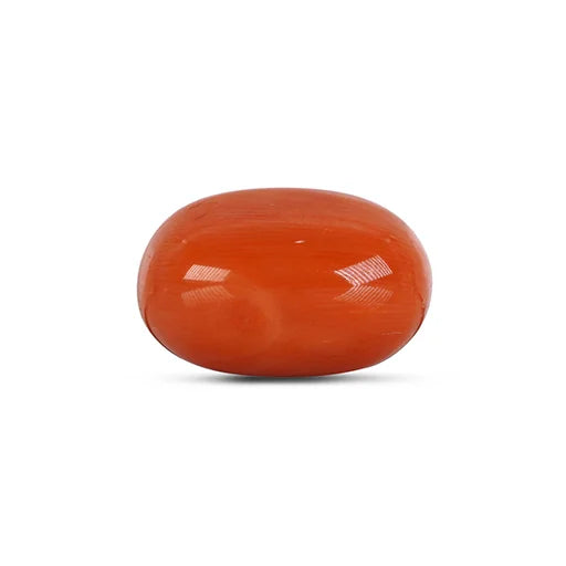 Red Coral - 4780