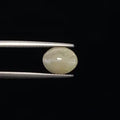 Cats Eye - 860