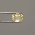 Yellow Sapphire - 1074