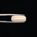 White Coral - 3270