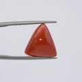 Red Coral - 3674