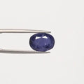 Iolite - 2923