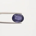 Iolite - 2945