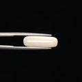 White Coral - 3274
