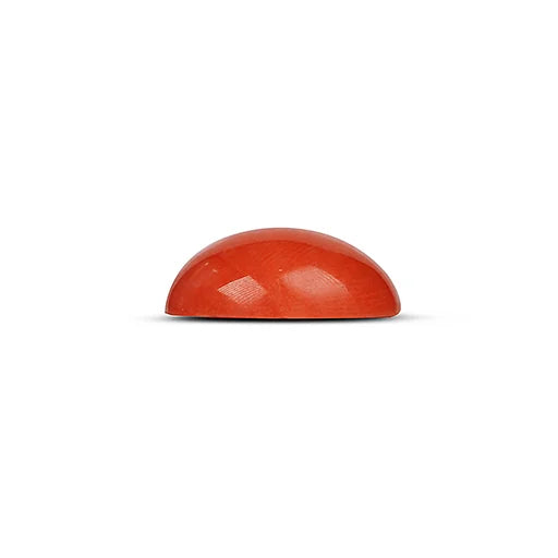 Red Coral - 5115