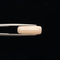 White Coral - 759