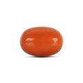 Red Coral - 4781