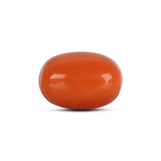Red Coral - 4781