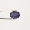 Iolite - 2882