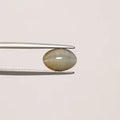 Cats Eye - 811