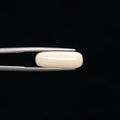 White Coral - 3260