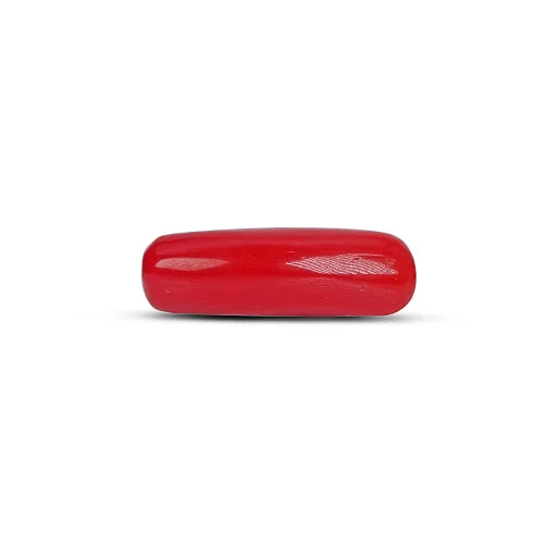 Red Coral - 5108