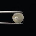 Cats Eye - 877