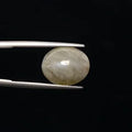 Cats Eye - 878