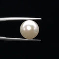 Pearl - 3575