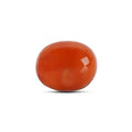 Red Coral - 4787