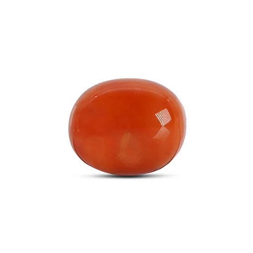 Red Coral - 4787