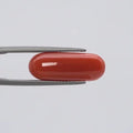 Red Coral - 1546