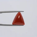 Red Coral - 3649
