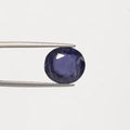 Iolite - 2891