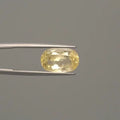 Yellow Sapphire - 2316