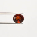 Hessonite - 1314