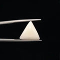 White Coral - 3233