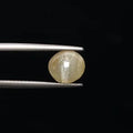 Cats Eye - 858