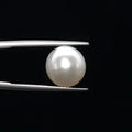 Pearl - 3590