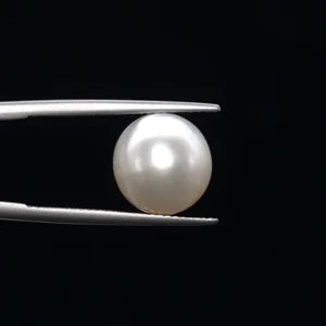 Pearl - 3590