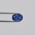 Blue Sapphire - 1595