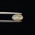 Cats Eye - 3376