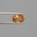 Hessonite - 3702