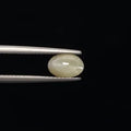 Cats Eye - 865
