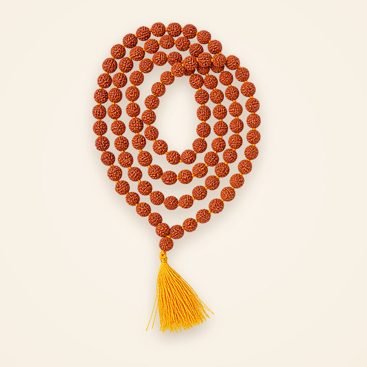 Siddh 5 Mukhi Rudraksha jaap mala of 108 beads with saffron tassel, laid in a circle