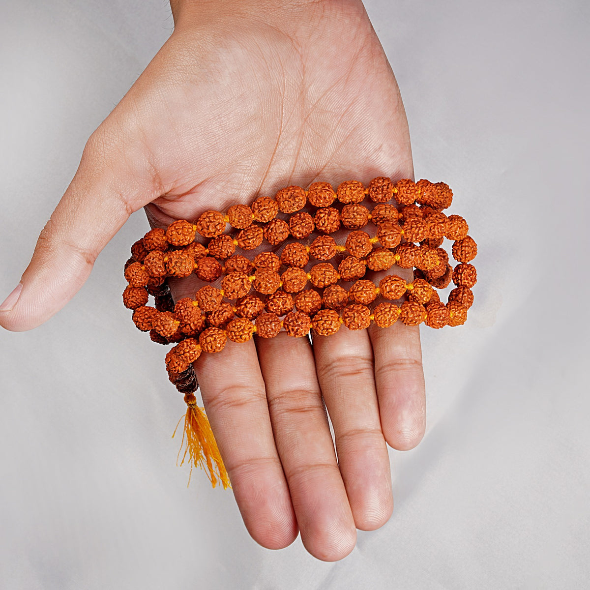 5 Mukhi Rudraksha jaap mala held in an open palm, showing bead size