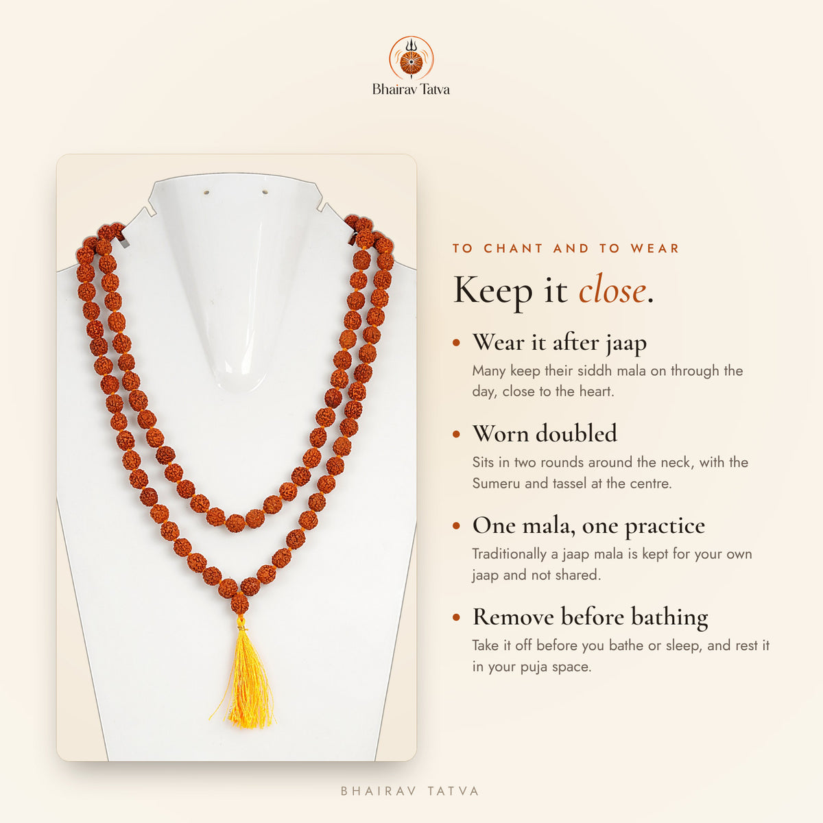 5 Mukhi Rudraksha jaap mala worn doubled on a display bust, with notes on wearing it after jaap